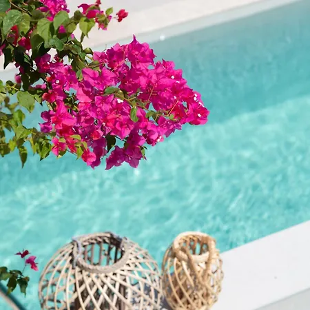 Strovilla Mare Beachfront With Private Pool Villa Psakoudia