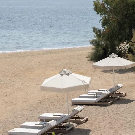 Villa Strovilla Mare Beachfront With Private Pool Psakoudia